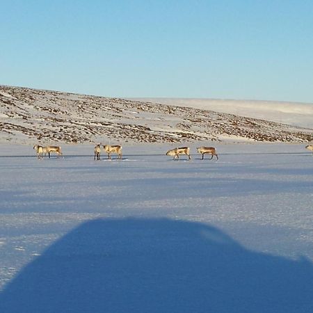 Sireksstadir Farm Holiday Vopnafjorthur Bagian luar foto