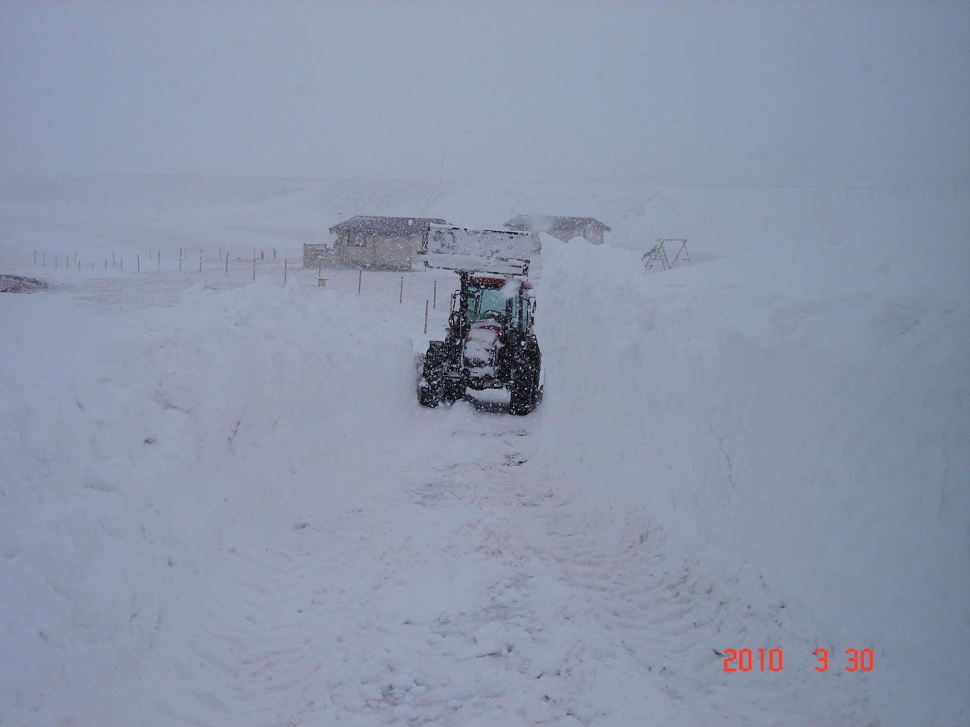 Sireksstadir Farm Holiday Vopnafjorthur Bagian luar foto