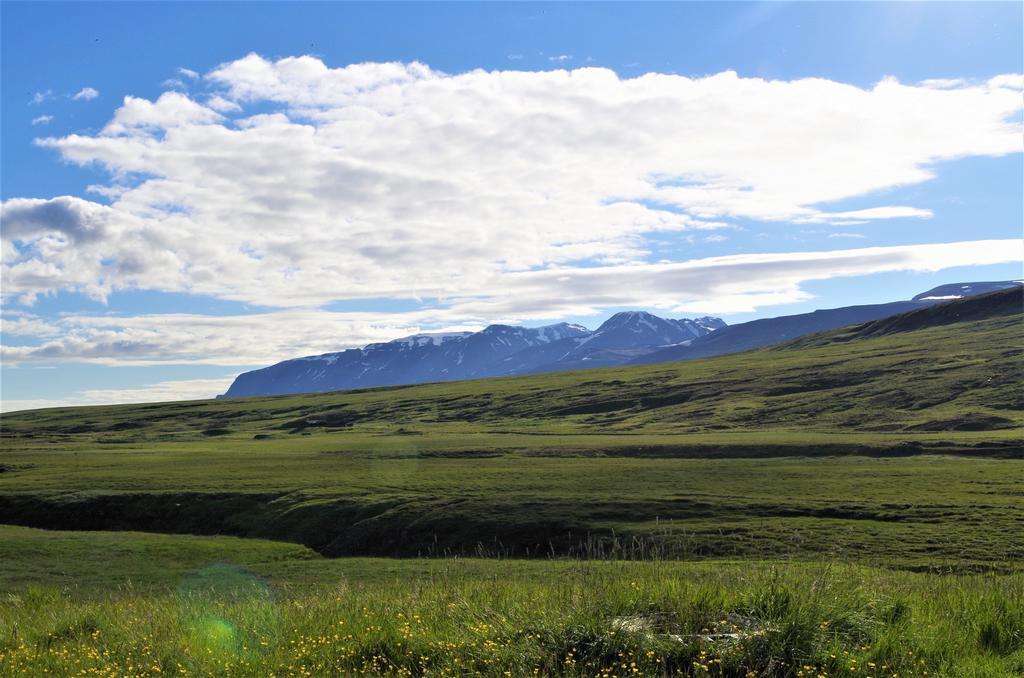 Sireksstadir Farm Holiday Vopnafjorthur Bagian luar foto